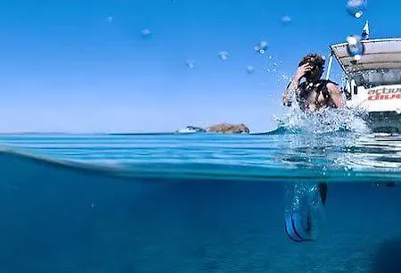 بيت ضيافة Balearic (adults Only) *